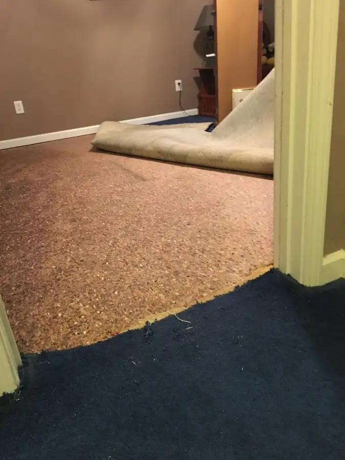 Carpet pad removal revealing water damage during Water Mitigation Services in Rockford