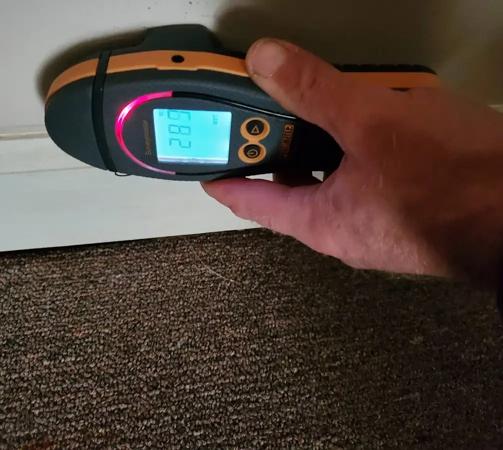 Moisture detection at baseboard during Sewage Cleanup & Sanitation in Rockford